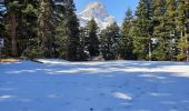 Tour Wandern Pellafol - tête de la garde - Photo 1