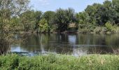 Tour Wandern L'Île-Bouchard - l'île-Bouchard - Brizay Theneuil Parçay-sur-Vienne - 24km 300m 5h10 (1h05) - 2024 07 24 - Photo 14