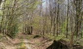 Trail Walking Freulleville - forêt d'eawy torcy  - Photo 1