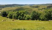 Tour Rennrad Langogne - NAUSSAC - COL DE LA PIERRE PLANTEE - Photo 4