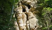 Tour Wandern Waldbillig - Müllerthal W7 par la déviation  - Photo 12