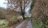 Trail Walking Theux - Promenade vers la cascade de Haldeboeuf  - Photo 5