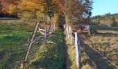 Trail Walking Stoumont - Le Roannay, le mont des Brumes, la fagne - Photo 9