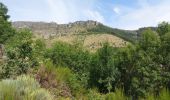 Randonnée Marche Fraissinet-de-Fourques - vers le veygalier à frayssinet de fourgues - Photo 11