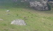 Trail Walking Val-Cenis - Sollieres le Mont.... - Photo 12