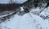 Tocht Stappen Stoumont -  Neucy , bergerie de la Lienne 13 Km - Photo 1