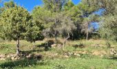 Randonnée Marche Fayence - fayence vallon de la camandre - Photo 6