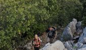 Tour Wandern La Farlède - De La farlède vers le sommet du Mont Coudon, puis retour par le petit Coudon - Photo 2