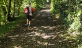 Trail Walking Gesves - un samedi a Gesvres.  ????? - Photo 8