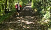 Excursión Senderismo Gesves - un samedi a Gesvres.  ????? - Photo 8