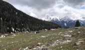 Excursión Senderismo Modane - MODANE - Polset par Ruisseau St Bernard - l'Orgère - Photo 6