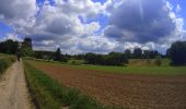 Randonnée V.T.T. Lasne - VTT de Maransart à la forêt de soigne - Photo 7