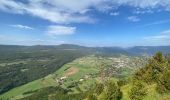 Tocht Stappen Saint-Agnan-en-Vercors - Rocher du mas (vercors) - Photo 14