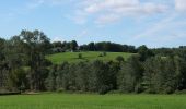 Tour Zu Fuß Simmerath - Kalltalsperre-Lönsfelsen - Photo 5