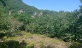 Randonnée Marche Brassac - Tour du Salas variante nord - Photo 3