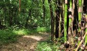 Tour Wandern Les Trois-Îlets - habitation vatable et ses plantations  - Photo 11