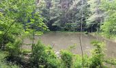 Trail Walking Theux - entre la ferme st Remacle et Hodbomont - Photo 8