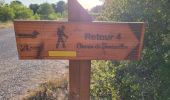 Trail Walking Laure-Minervois - Oui mon Capitelle ! 4 niveaux possibles - Photo 9
