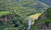 Randonnée Marche Roquebrun - Les ayrolles depuis Ceps - Photo 8