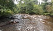 Tour Wandern Weismes - robertville . barrage . nez de napoléon.  reinhardstein . barrage . pont . robertville - Photo 12