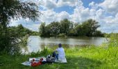 Tocht Stappen Nieuwerleet - Circuit des marais de Booneghem - Photo 1