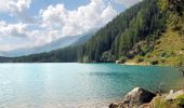 Percorso A piedi Rasun - Anterselva - Seerundweg - Photo 1