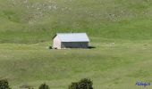 Tocht Stappen Châtillon-en-Diois - Combau-TêteChevalière 05-05-2018 - Photo 10