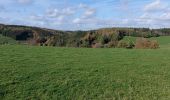 Randonnée Marche Houffalize - Engreux 021122 - Photo 10