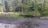 Trail Walking Sprimont - autour de dolembreux  - Photo 4