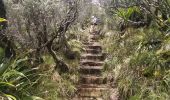 Trail Walking Salazie - Tour du Piton des Neiges par le petit GRR1 / J4 - Photo 5