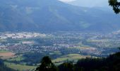 Tour Zu Fuß Kapfenberg - Romantischer Bründlweg - Photo 7