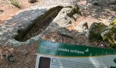 Trail Walking Lyas - Lyas  la Neuve  azur - Photo 8