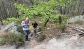 Tocht Stappen Noisy-sur-École - 25 bosses - Photo 5