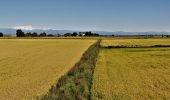 Tour Wandern Vercelli - CR_Francigena_BA_12_Verceil_Robbio_20190909 - Photo 6