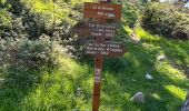 Trail Walking Castellar - Castellar Gramondo Bocca Bassa Col St Bernard Monti réel - Photo 6