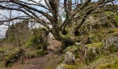 Randonnée Marche nordique Lauroux - Labeil Forêt de l'Escandorgue Juin 2021 - Photo 1