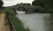 Tour Wandern Agde - Agde - Photo 1