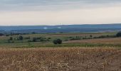 Trail Walking Philippeville - Franchimont 130922 - Photo 8