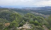 Tocht Stappen La Cadière-d'Azur - 20250116 le gros cerveau  - Photo 3