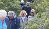 Tour Wandern Vernègues - PF-Vernègues - Boucle dans le passé antique de Vernègues - Photo 6