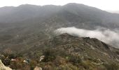 Excursión Senderismo Banyuls-sur-Mer - Col Banuyls  - Photo 17