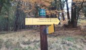 Trail Walking Molines-en-Queyras - gardiole de l'alp - Photo 1