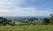 Excursión Senderismo Porte des Pierres Dorées - Jarnioux / 15 km - Photo 18