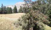 Tour Wandern Ancelle - toufde la Pinouse : pré bouria . Le rouanne . la pinouse . moissiere . pré bouria - Photo 8