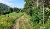 Trail Walking Saint-Jacques-des-Blats - Plomb du Cantal par les Gardes et retour Devezou n# 2 - Photo 10