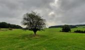 Randonnée Marche Hamoir - GR 57 ETAPE: COMBLAIN-LA-TOUR - DURBUY - Photo 6