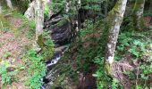 Trail Walking Bohinj - Gorges - Photo 3