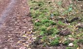 Tour Wandern Maaseik - Wandelen in de Duinengordel - Photo 3