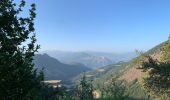 Randonnée Marche Chorges - Chorges montagne du bois du Ruban - Photo 8