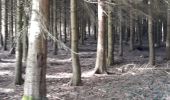 Trail Walking Libramont-Chevigny - balade pedestre - Photo 1